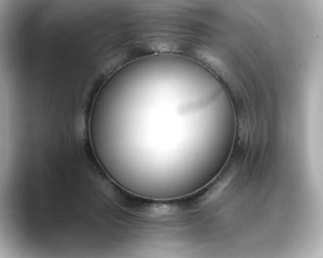 X0000088840453200706211836