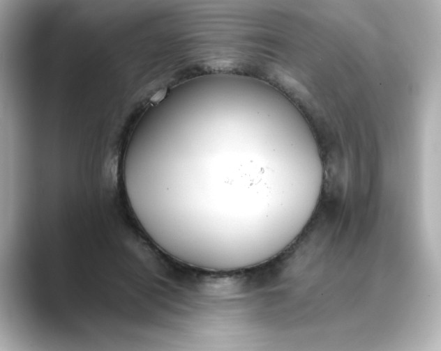 X0000088840454200706211836