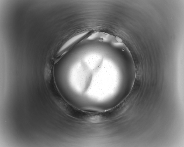 X0000088840456200706211836