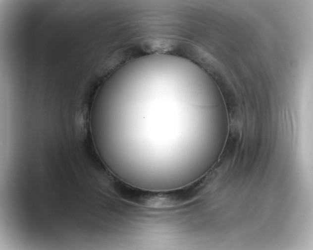 X0000088840460200706211836