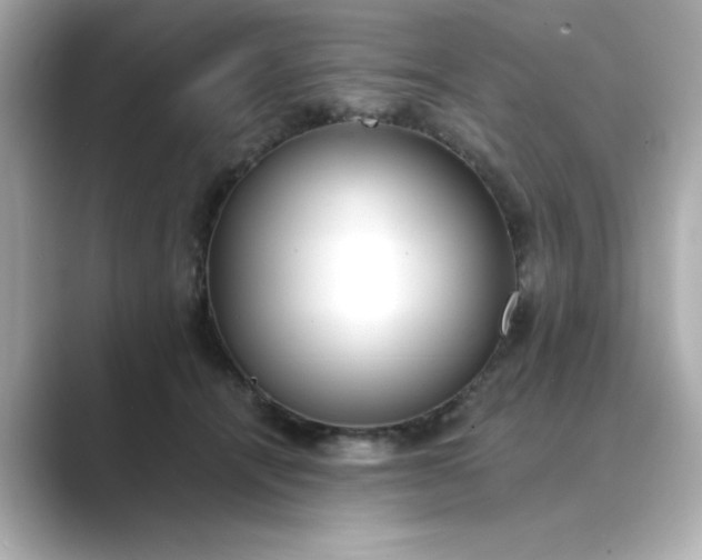 X0000088840464200706211836