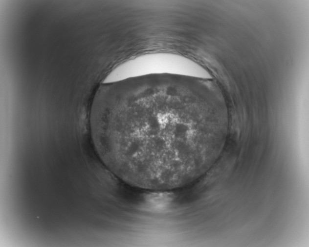 X0000088840465200706211836