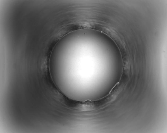 X0000088840466200706211836