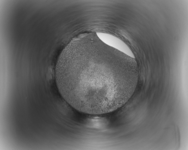 X0000088840467200706211836