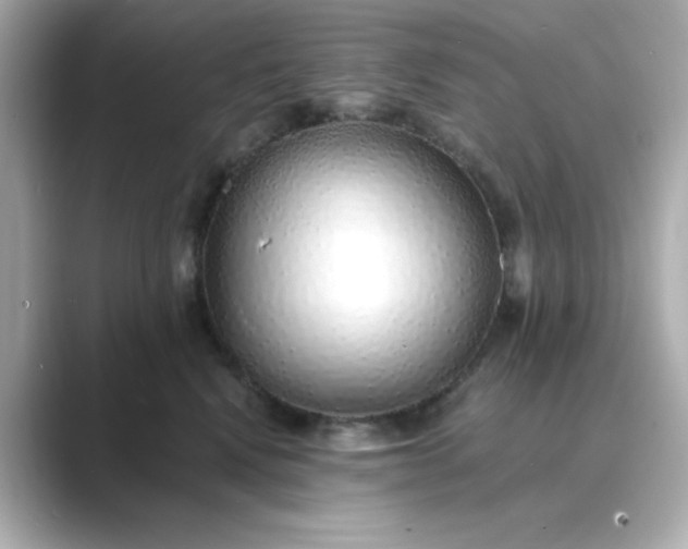 X0000088840472200706211836