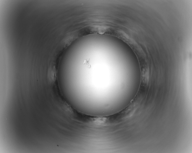 X0000088840474200706211836