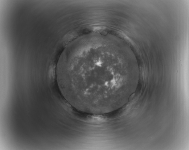 X0000088840475200706211836