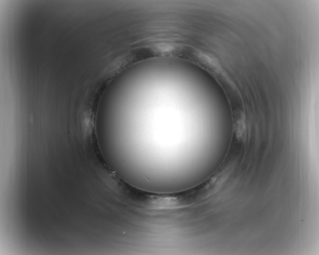 X0000088840476200706211836