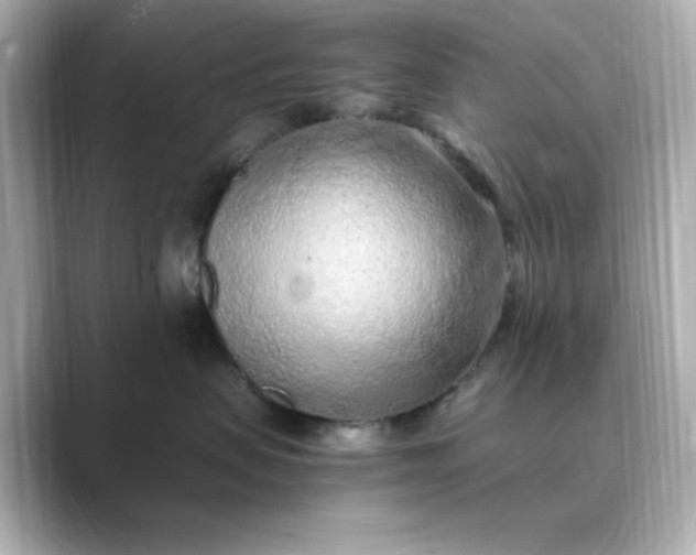 X0000088840479200706211836