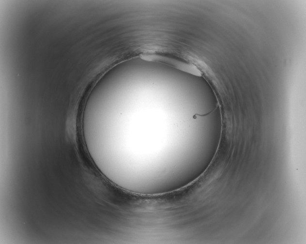 X0000088840482200706211836