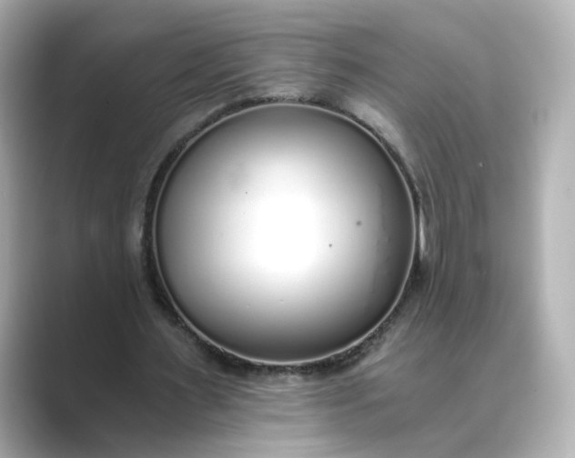 X0000088840483200706211836