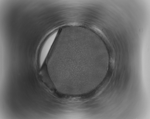 X0000088840484200706211836