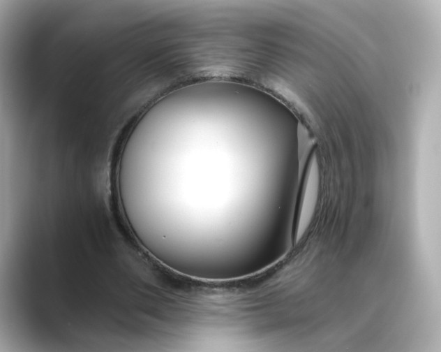 X0000088840486200706211836