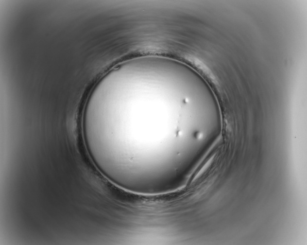 X0000088840487200706211836