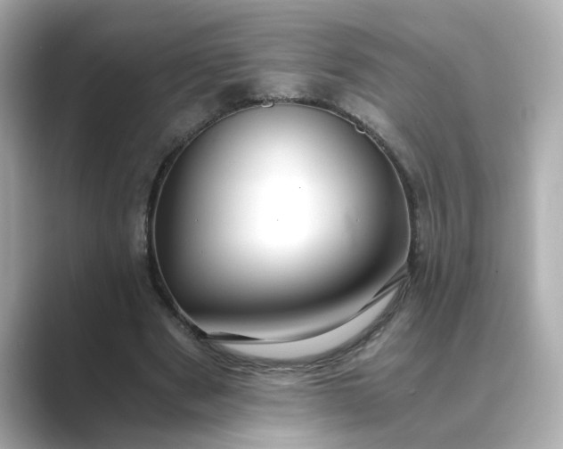 X0000088840489200706211836