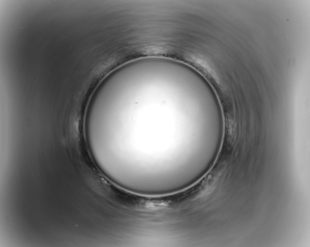 X0000088840491200706211835