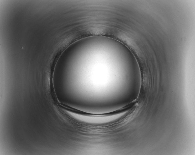 X0000088840493200706211835