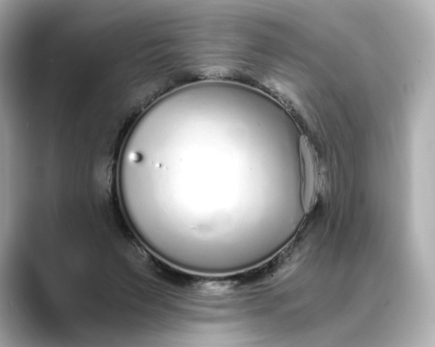 X0000088840495200706211835