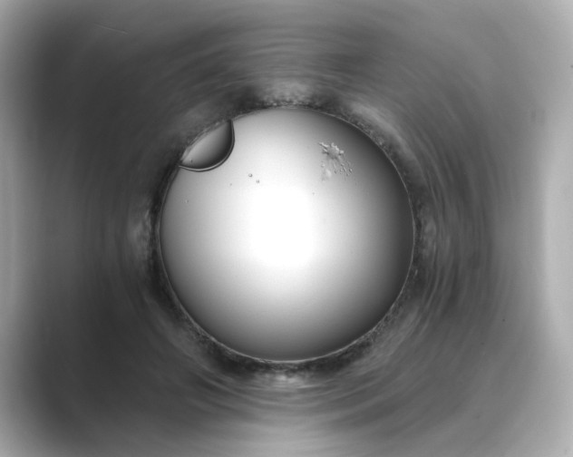 X0000088840498200706211835