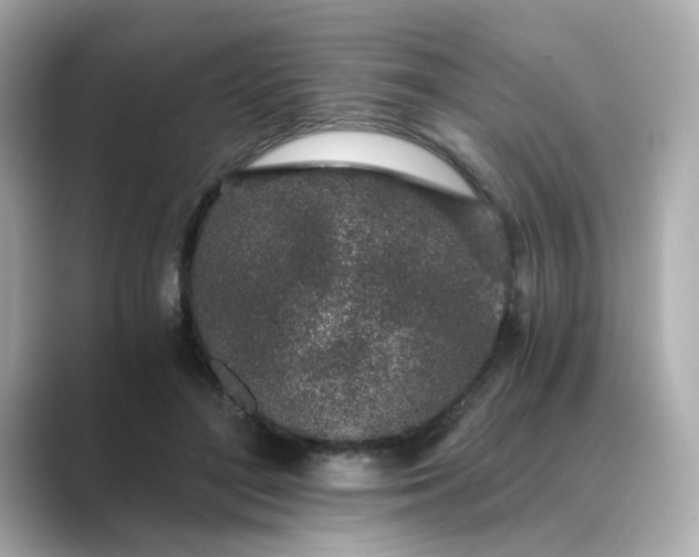 X0000088840500200706211835