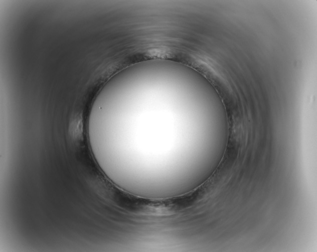 X0000088840502200706211835