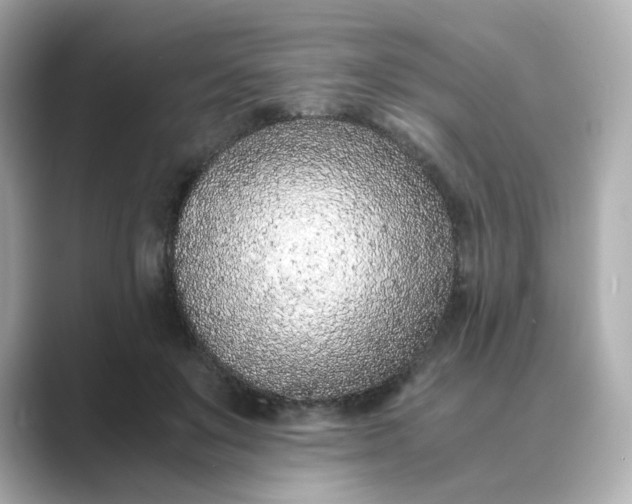 X0000088840503200706211835