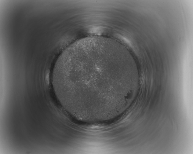 X0000088840504200706211835