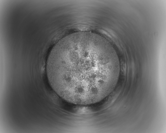 X0000088840507200706211835