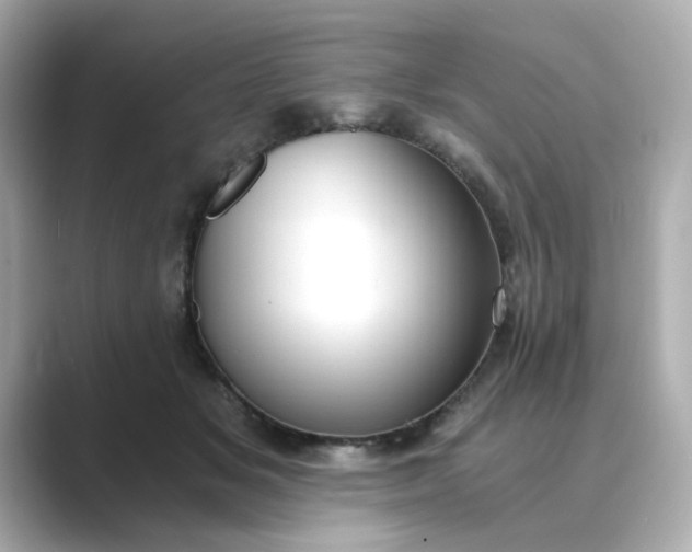 X0000088840509200706211835