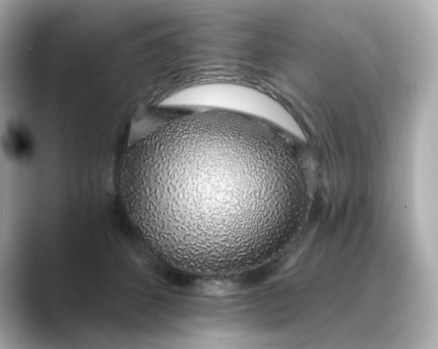 X0000088840512200706211835