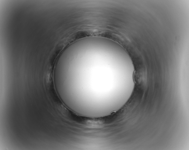 X0000088840515200706211835