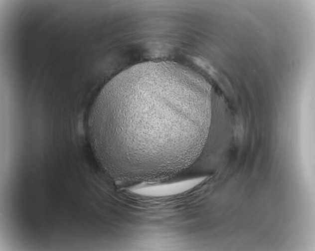 X0000088840516200706211835