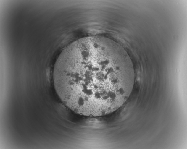 X0000088840519200706211835