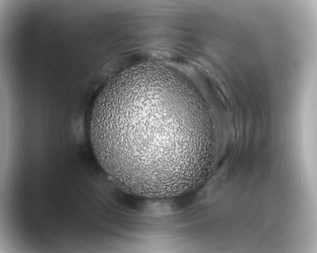 X0000088840520200706211835