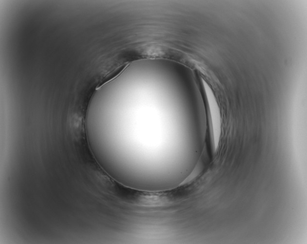 X0000088840521200706211835