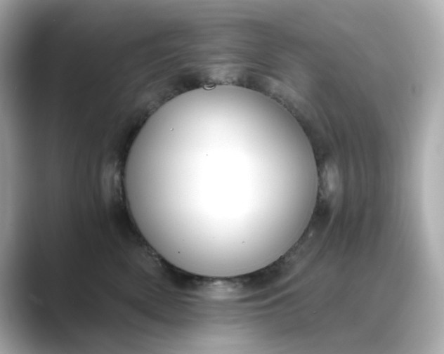 X0000088840522200706211835