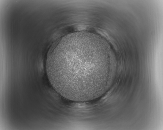 X0000088840524200706211835