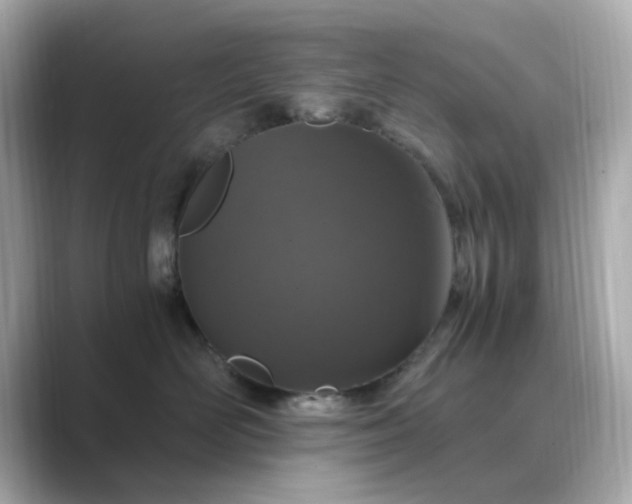 X0000088840526200706211835