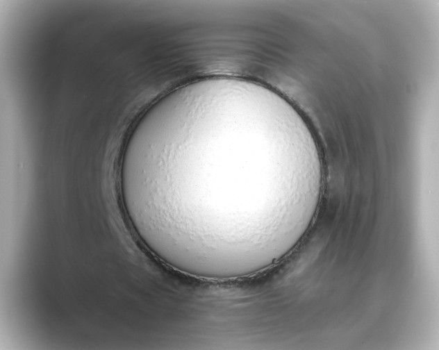 X0000088840529200706211835