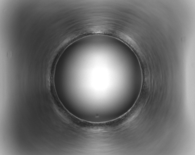 X0000088840530200706211835