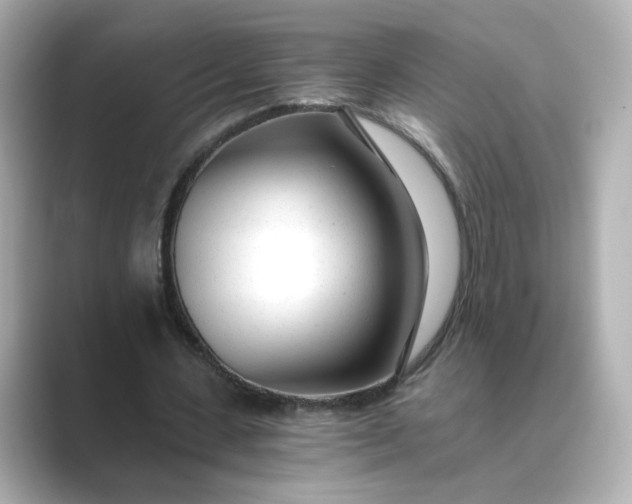 X0000088840531200706211835