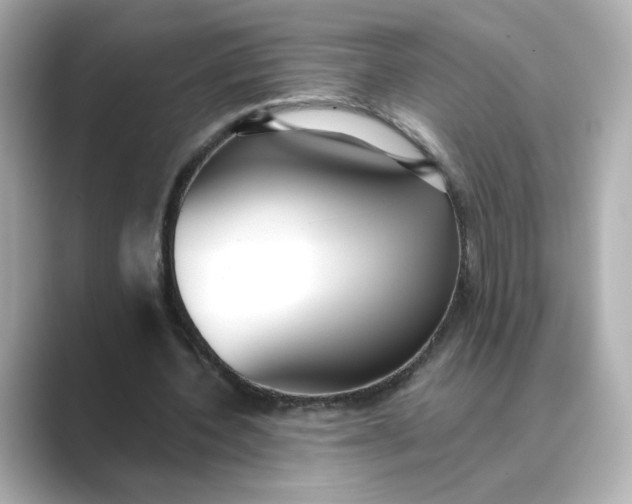 X0000088840532200706211835