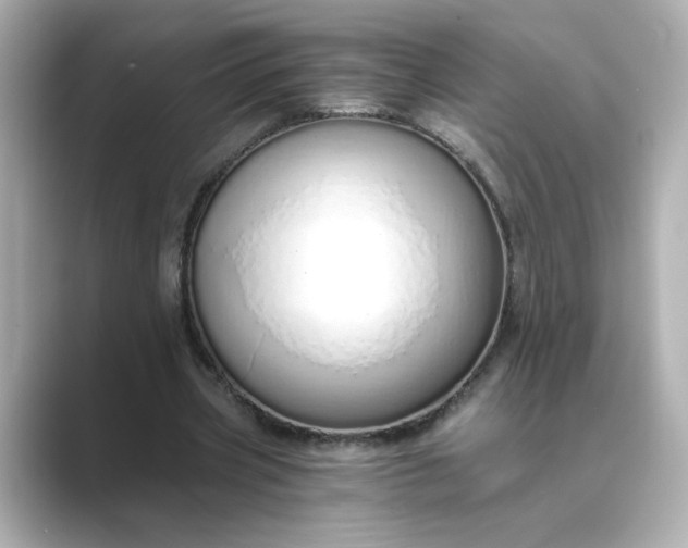 X0000088840533200706211835