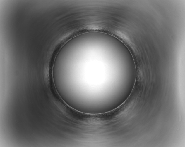 X0000088840535200706211835