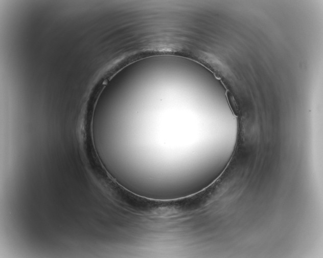 X0000088840536200706211835