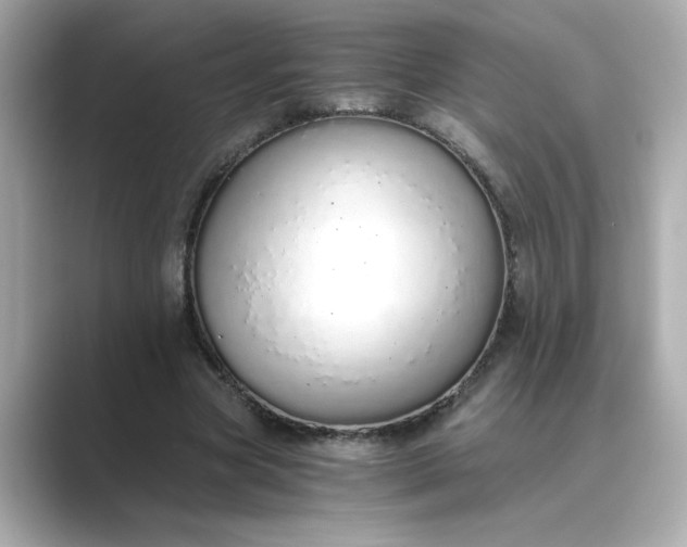 X0000088840537200706211835