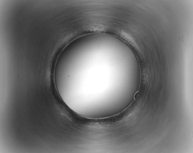 X0000088840538200706211835