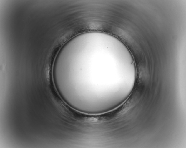 X0000088840542200706211835