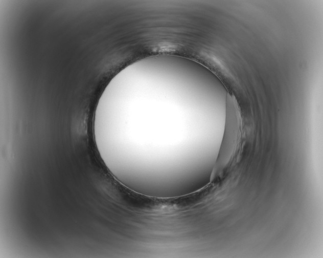 X0000088840543200706211835