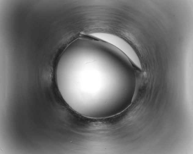 X0000088840544200706211835